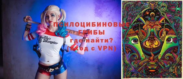 дурь Вяземский
