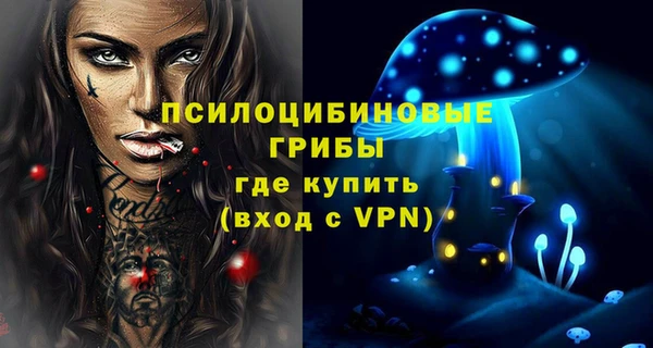 дурь Вяземский