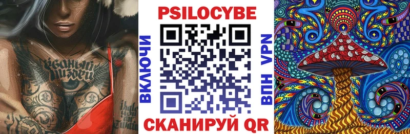 Псилоцибиновые грибы Cubensis  где можно купить наркотик  Владикавказ 